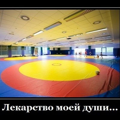 Андрей Колесников