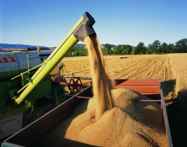 Владимир Луговский