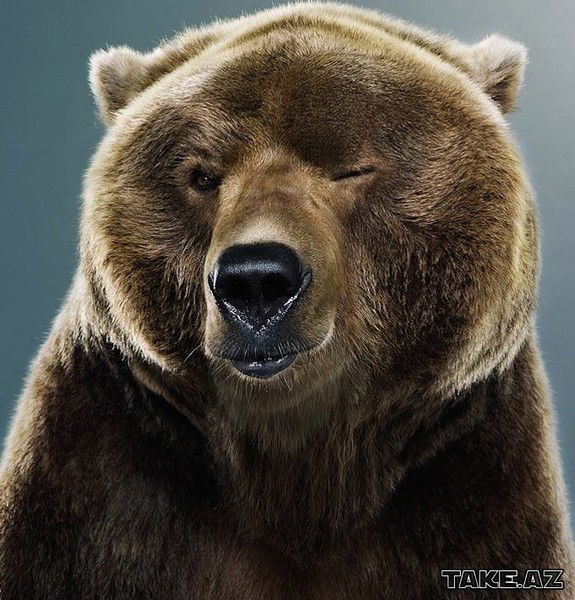 Дмитрий Капялюш