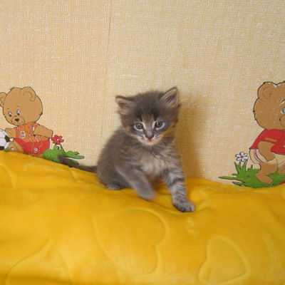 Юленька Ревина