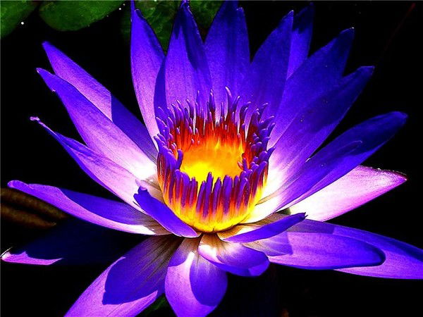 Мира Ложкина