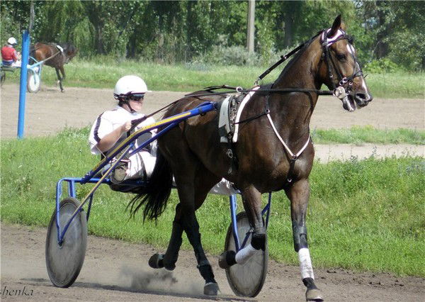 Инна Ануфриенко