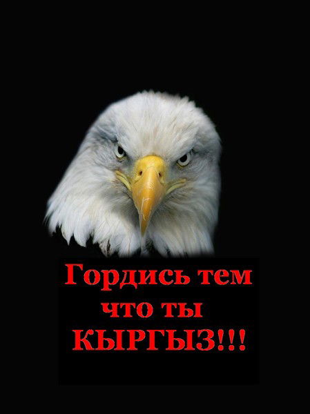 Мирлан Садыбакасов