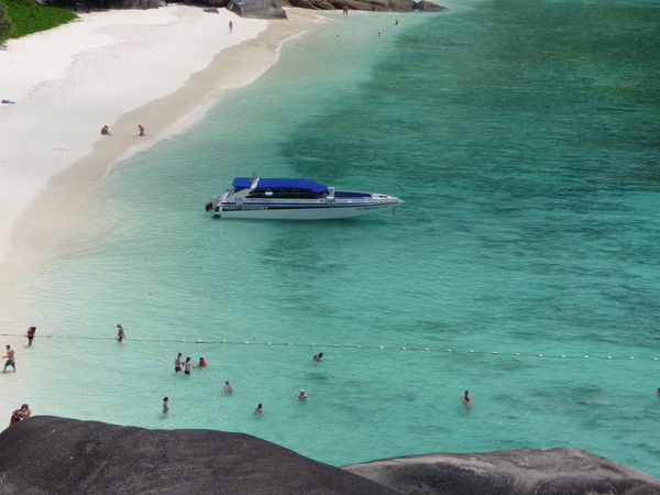 Александр Шикарев