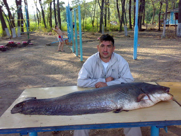 Андрей Шапошников