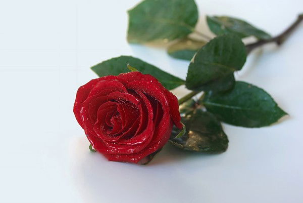 Любовь Рузанова