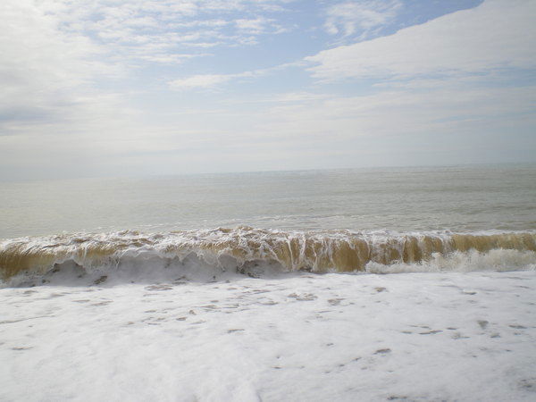 Александр Лопарев