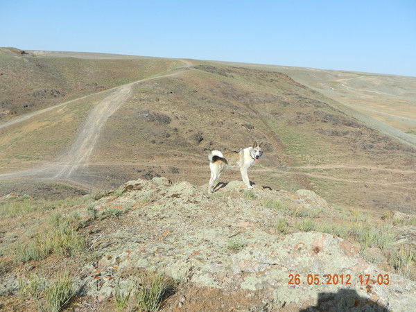 Андрей Мерзляков