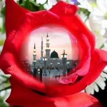 Жыпар Эсенгулова