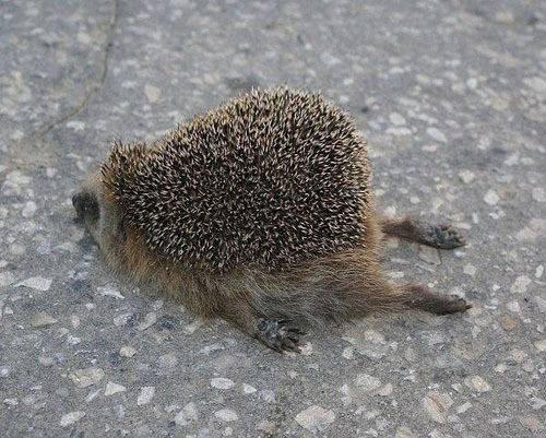 Алексей Иванов