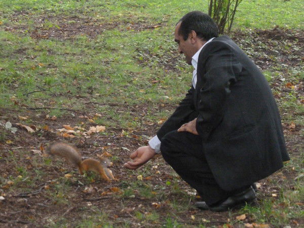 Эльман, Дадашов