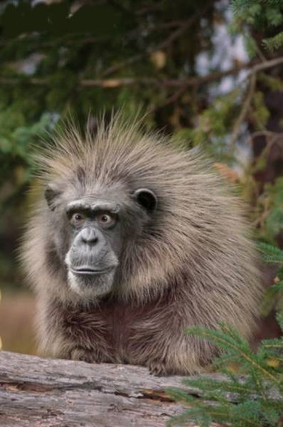 Змей Горыныч