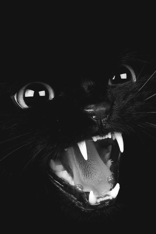 WoT Танки 1 акк