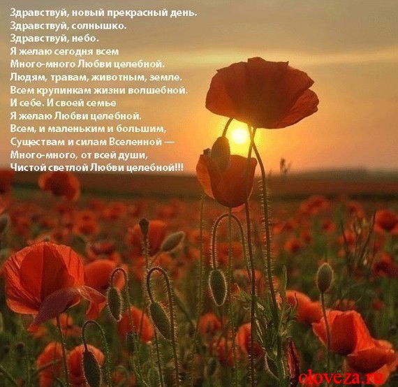 Евгения Юдина