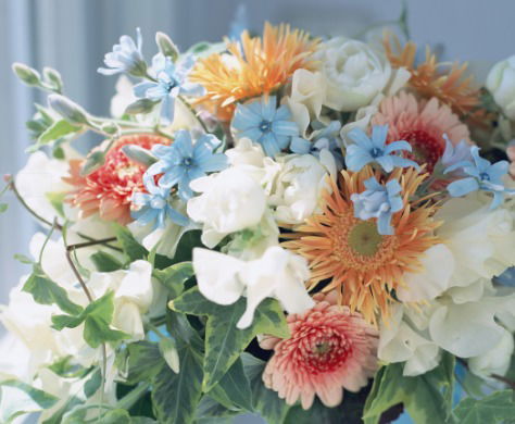 Лариса Железнова