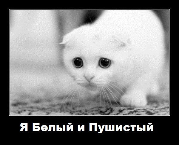 ''::::тёмa::::" ???????!