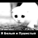 ''::::тёмa::::" ???????!