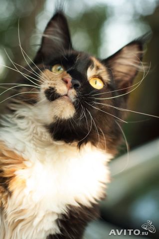 Зинаида Юсупова