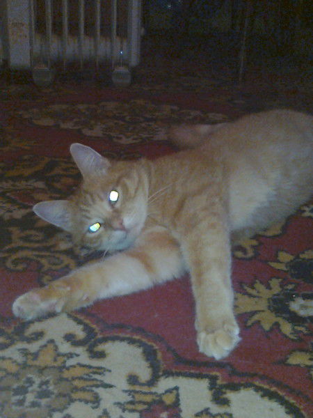 Мария Федотова