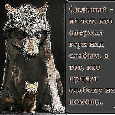 Оливер Берлинер