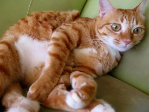 Анастасия .