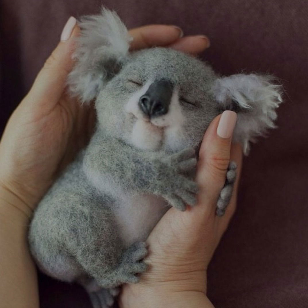 Азиз Эфендиев