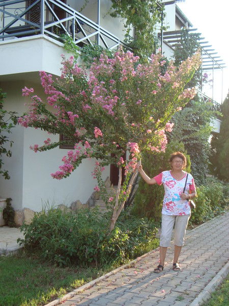 Жазира Сыздыкова