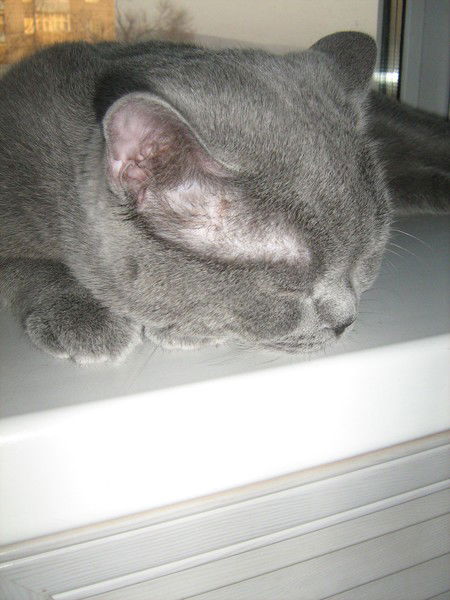 Татьяна Данильченко