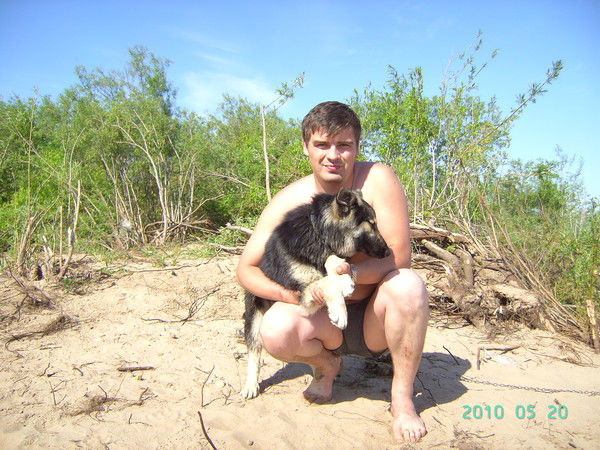 Андрей Старковский