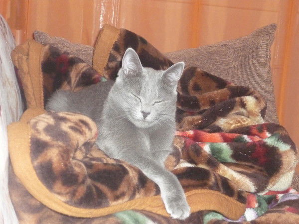 Ирина Данилюк