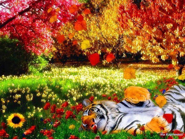 Александр Колесников