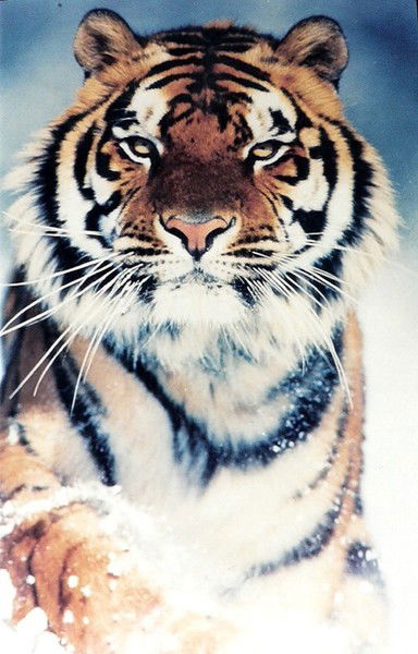 Геннадий Охотников