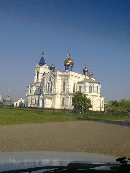 Дмитрий Жарков