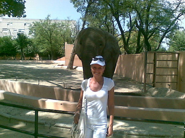 Елена Софилканич