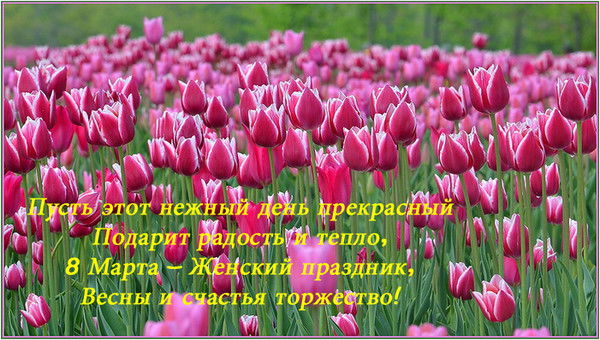 Татьяна Овчаренко