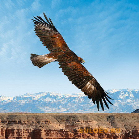 Алаботинский Сельский Округ