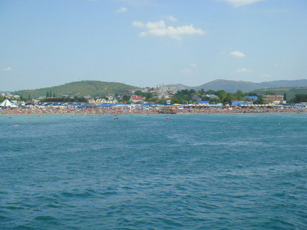 Пчелка Пчелка