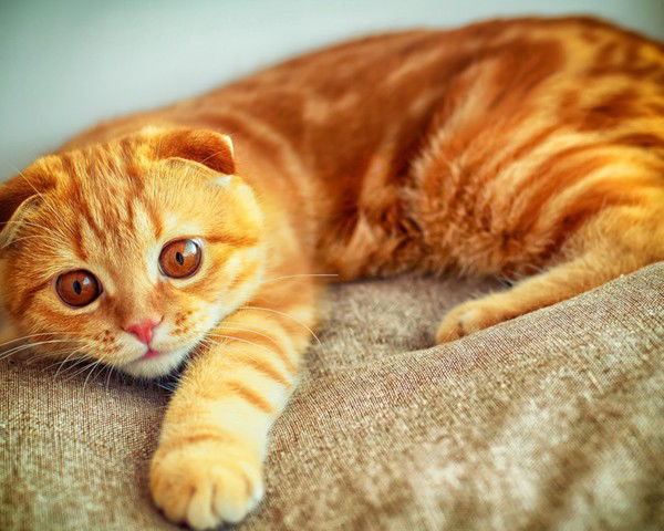 Екатерина Сосновских