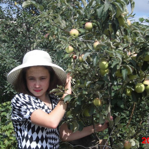 Любовь Михайлова