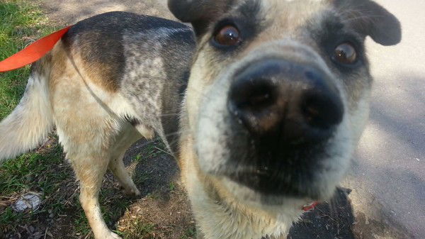 Анастасия Анохина