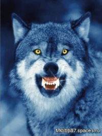 Александр Стаськов