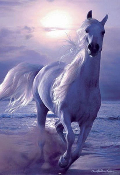 Лейла Шангареева