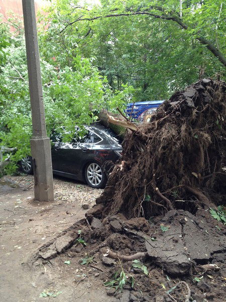 Рашит Вафин