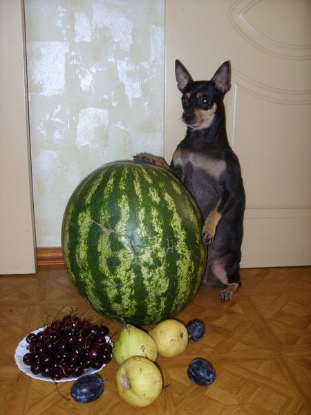 Ольга Гейибова