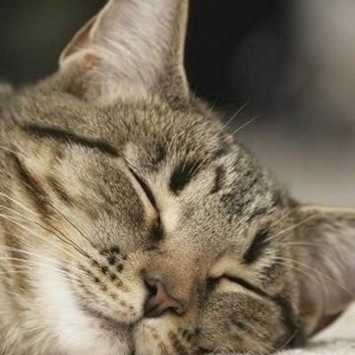 Катя Белоусова