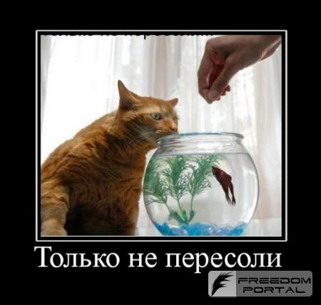 Леша Сопотько