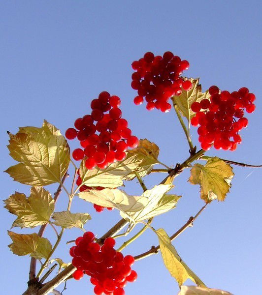 Екатерина Владимировна Азизова