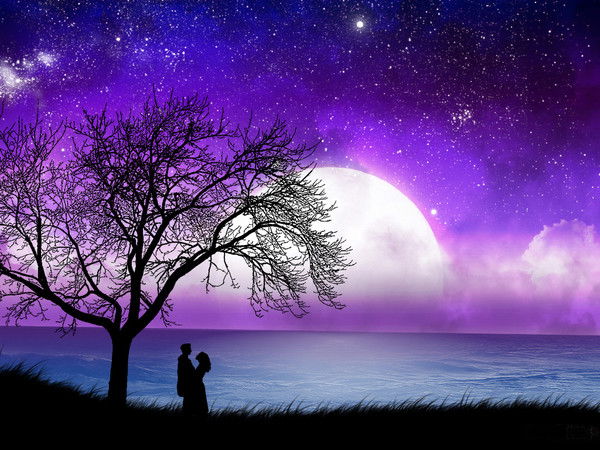 ............ .......