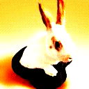 Заиец )