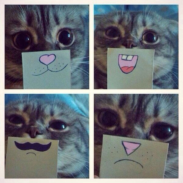 Юлия Ломакина